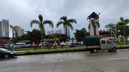 比亚迪5月销量再创新高 海外市场表现亮眼