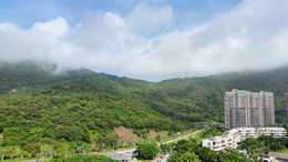 佛山站设计理念为“锦绣湾区，花开禅城”