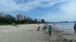 新浪天津体育