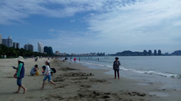 环球旅游资讯