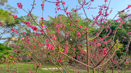 首都机场客运站前往赤峰，廊坊，保定班线暂停营运